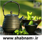 ir.shabnam1.damnoosh