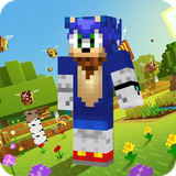 com.mcpe.master.hedgehog.sonic.skins