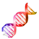 ir.appdevelop.genetic