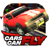 com.blindowl.CarsCanFly