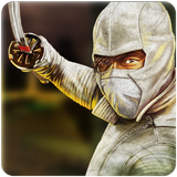 com.amplegamez.angry.ninja.master