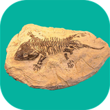 com.sra_tx.dirineshenasiejanevaran