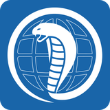 com.callsoft.cobrabrowser