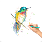 learn.draw.animals