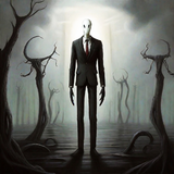 com.akrasoft.slendercem