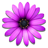 com.bluevase.flowers