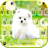 com.ikeyboard.theme.cute.white.puppy