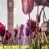 ir.mehr72.lovewalpaper