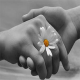 ir.chegone.hamsare.khob.peda.konem.d