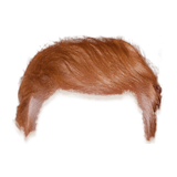 com.palmeralabs.trump_hair_stickers