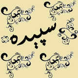sepide.ghalam.arezo