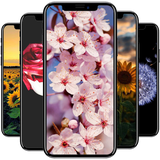 com.andromo.dev811354.app926144