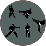 com.khorshid_ht.karate