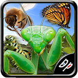 com.darie.insectrace