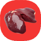 com.mnz_t.jegarkhorakisalamti