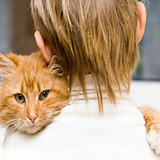 ir.mypets.com