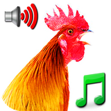 com.twrtsapps.fnacrts