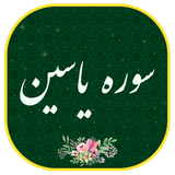 ir.Forat.SoreYasin