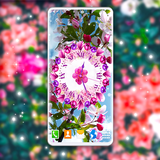 analog.clock.red.pink.flower.blossom.wallpaper