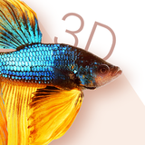com.kisionlab.bettafish3d.free
