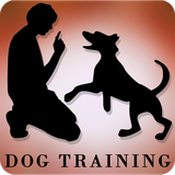 com.andromo.dev626242.app613754