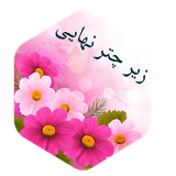 com.imnet.zirechtretanhaee