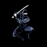 com.bazilon.smd.shinobi_collection