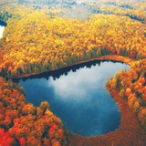 com.bereket.sonbahar