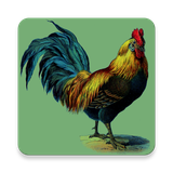 eu.zstoyanov.roostersounds