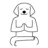 com.pnprobotics.zencrate2