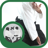 ir.tinasoft.aikido_fonon