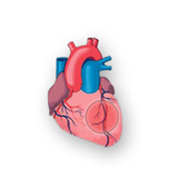 com.Abott.EASYHEARTAPP