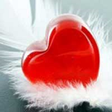 eshgh.shamim