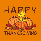com.Infinity.thanksgiving