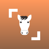 com.siwalusoftware.horsescanner