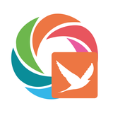 com.sololearn.swift
