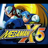 com.SandSprogrammingGroup.LowMegaManX5