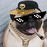 com.pavahainc.thuglifepictureeditor