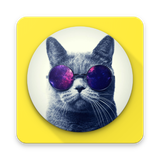 cute.wallpapers.backgrounds