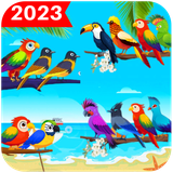 xbird.relaxingbird.sortbirdpuzzi.cafegame
