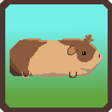com.THInc.GuineaPigsQuest