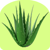 com.aloevera_2.app