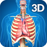 com.visual3dscience.Respiratory