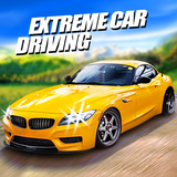 com.lsgames.excarrace
