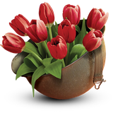 air.ir.cepidar.aqleSorkh