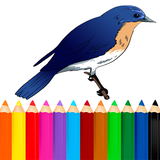 com.Jupet.coloringbirds