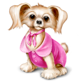 saba.game.animalsflashcard