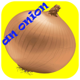 piaz.onionepv.any1