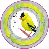 com.nazdooneh.canary