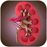 eshgh.bimarihayekolliye